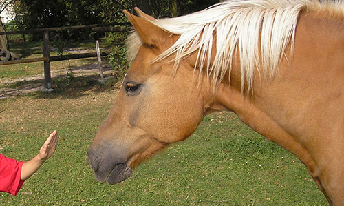 EJO-Tagesgruppe Rosdorf