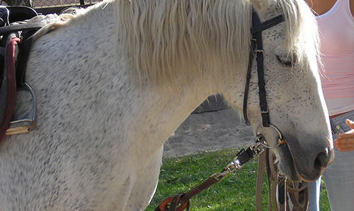 EJO-Tagesgruppe Rosdorf